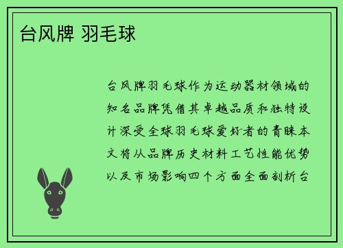 台风牌 羽毛球